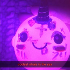 Meet your Posher, Dani